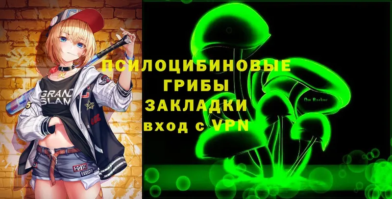 Галлюциногенные грибы Cubensis  как найти наркотики  Вологда 